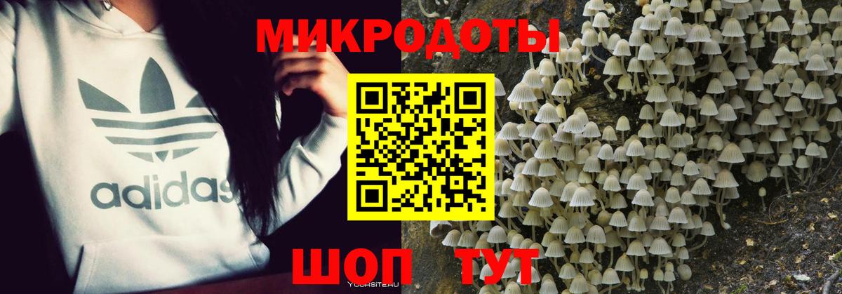 Псилоцибиновые грибы мицелий Мариинск